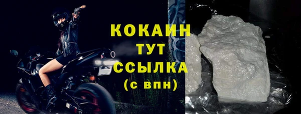 шишки Абаза