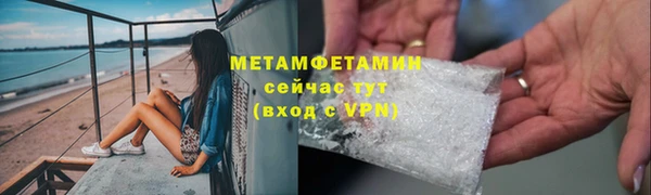 шишки Абаза