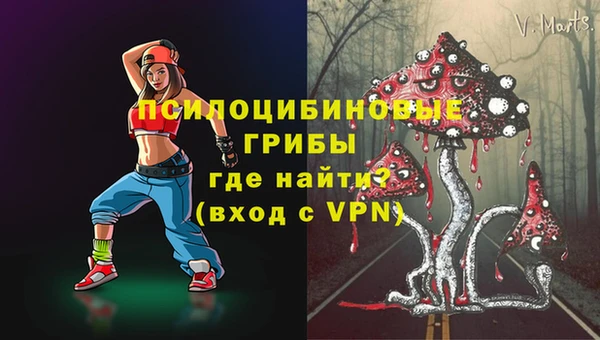 apvp Алексин