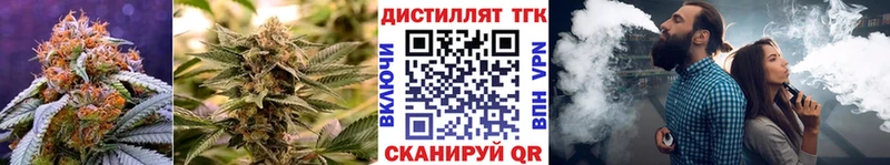 ТГК THC oil  mega как войти  Димитровград 
