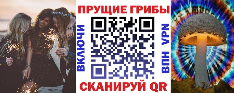 Псилоцибиновые грибы ЛСД Димитровград