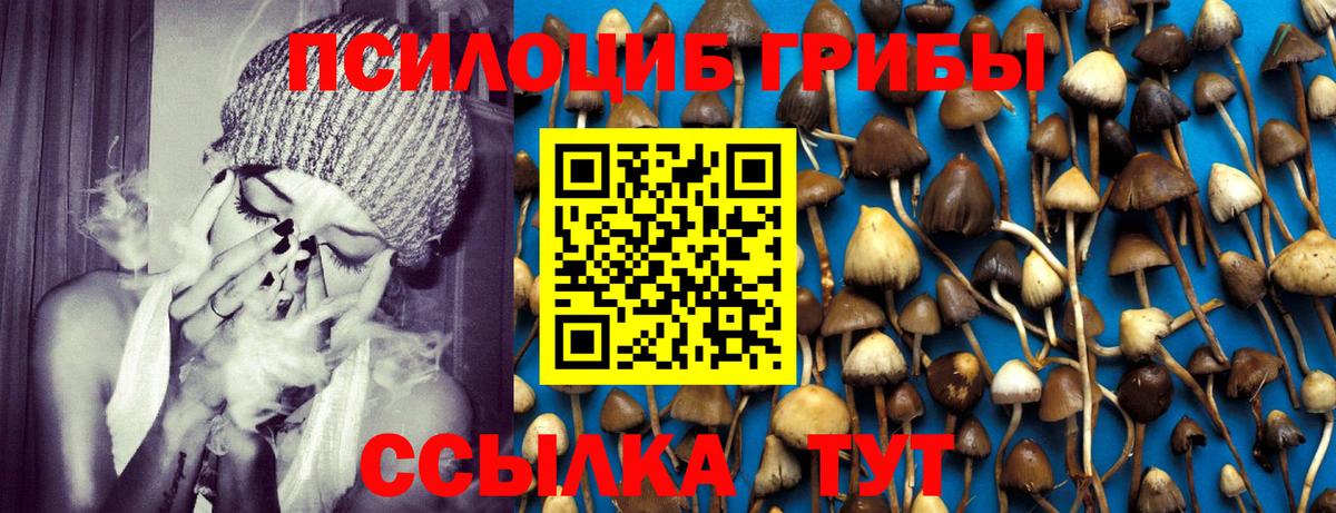 что такое   Псилоцибиновые грибы MAGIC MUSHROOMS  Вход с VPN  Псилоцибиновые грибы GOLDEN TEACHER  Димитровград 
